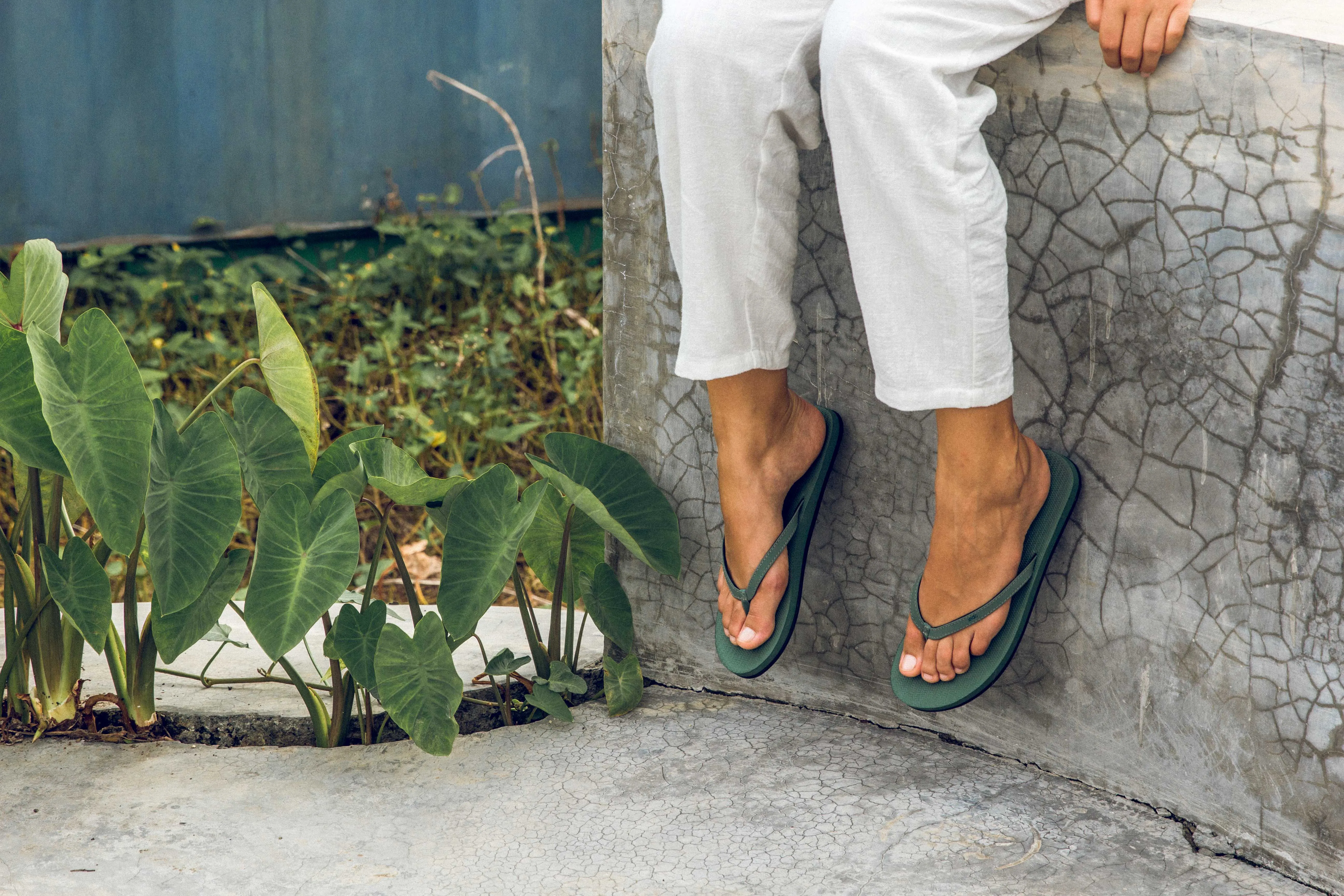 Women's Flip Flops - Leaf